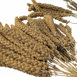 Natural Millet Sprays