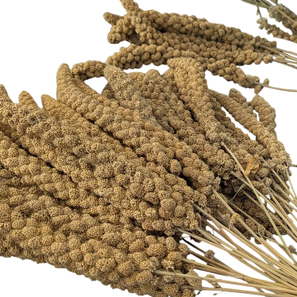 Natural Millet Sprays