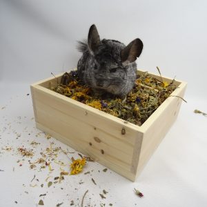 Forage Box Large (CLEARANCE)