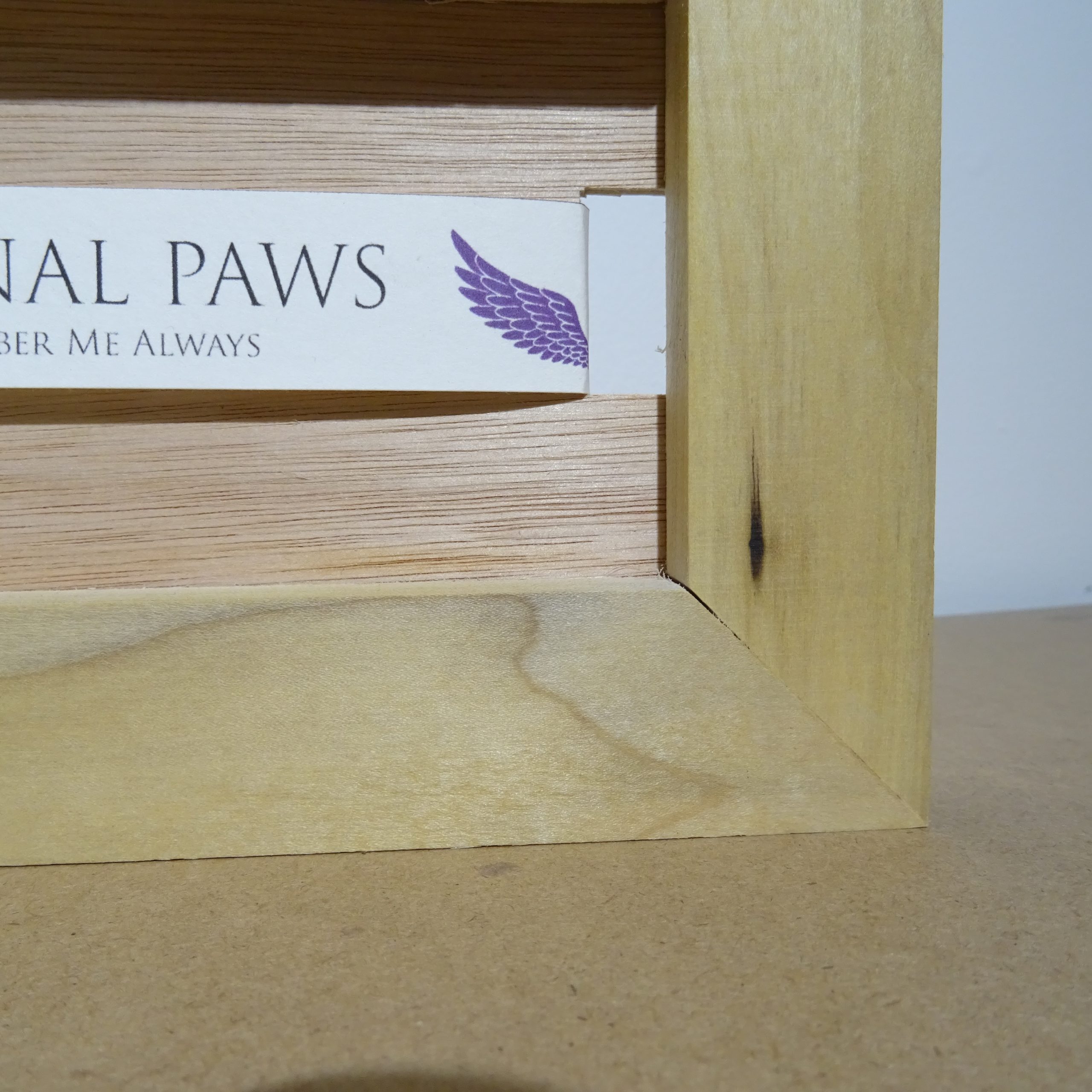 Pet Collar Display Frame 20cm x 13cm (CLEARANCE) - Image 3