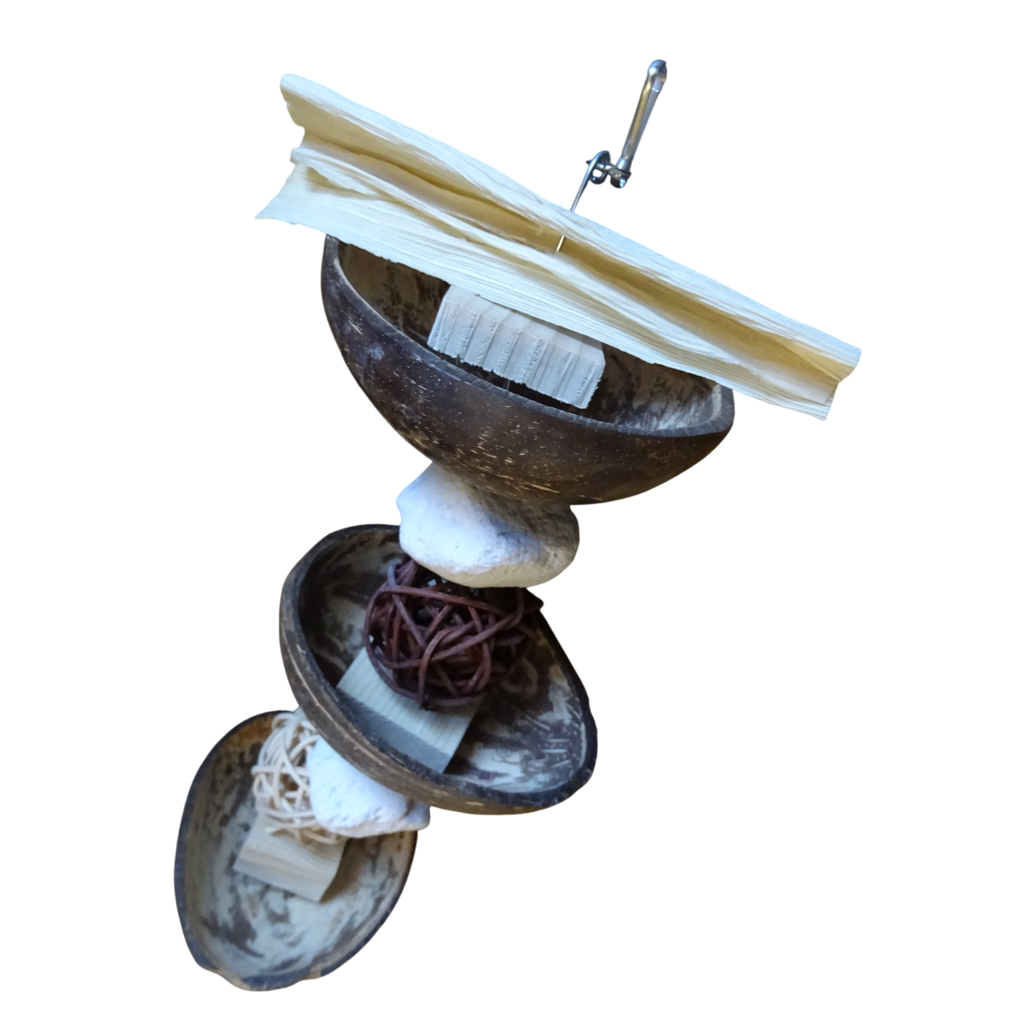 Coconut Nibbler - Image 3