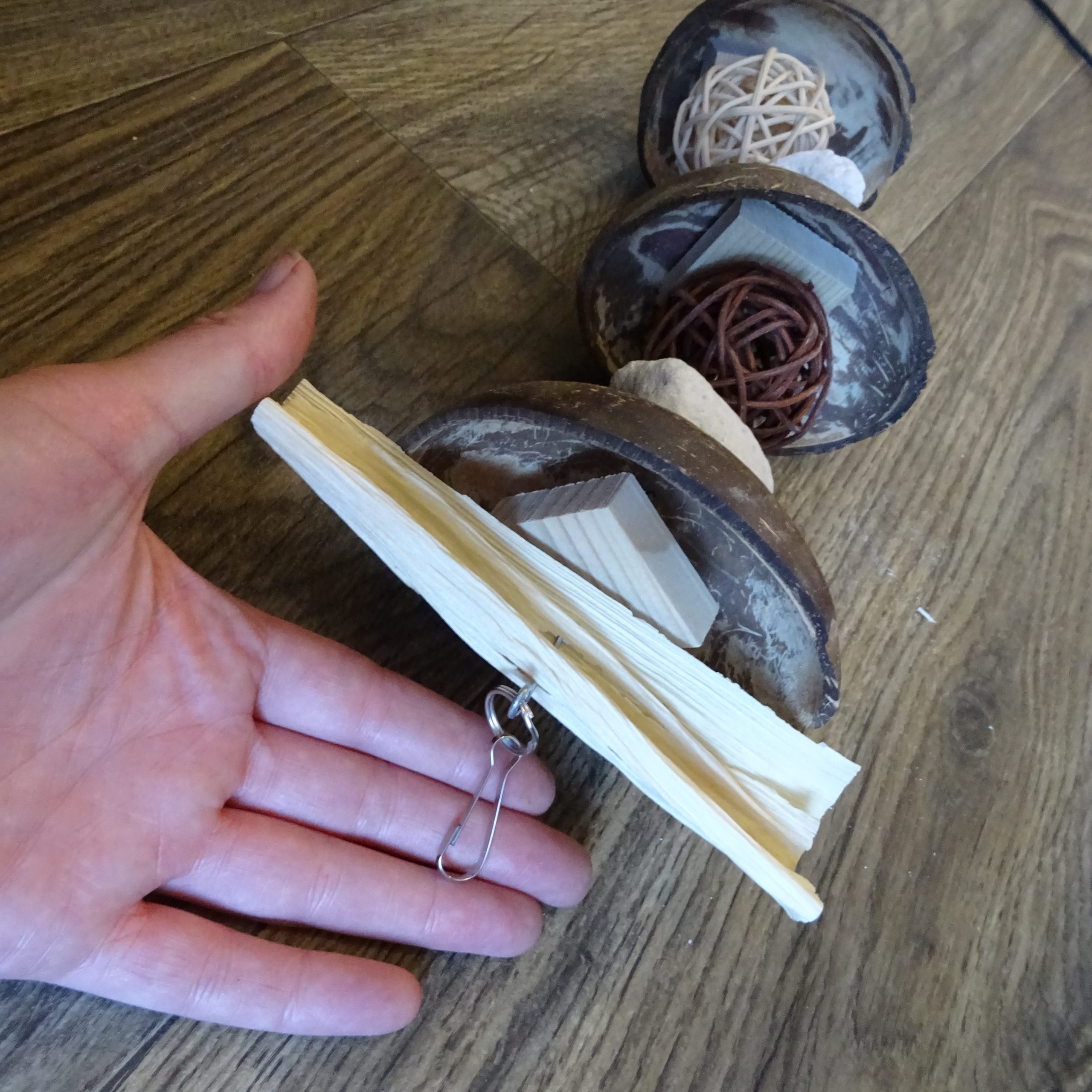 Coconut Nibbler - Image 4